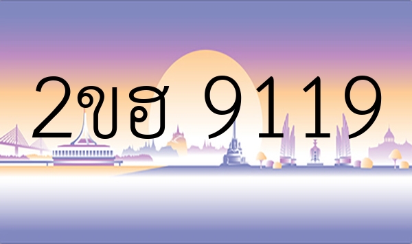 2ขฮ 9119